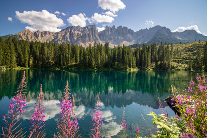 Der legendenumwobene Karersee in den Dolomiten Über violette Blumen und die Wasserfläche des Karersees hinweg blickt man auf den Rosengarten im Hintergrund.