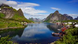 links und rechts vom Fjord stehen bunter Häuser, im Hintergrund die Berge