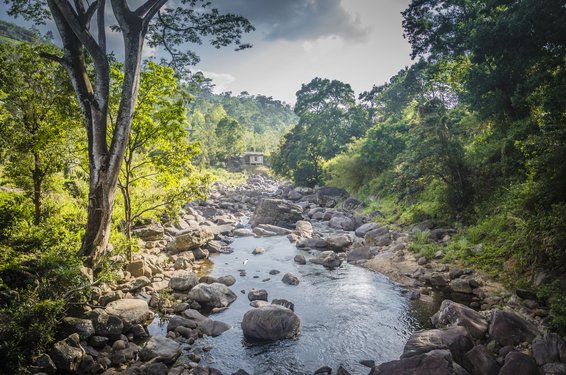 Ein vom Dschungel umgebener Fluss in Sri Lanka.