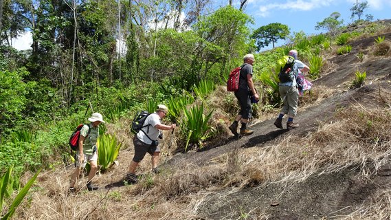 Wandergruppe läuft auf unbefestigtem Weg den Hügel hinaus