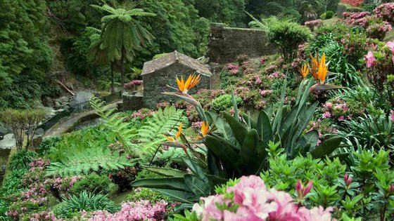 Das Foto zeigt einen mit üppiger Vegetation bewachsenen Talkessel, im Hintergrund steht eine Wassermühle.