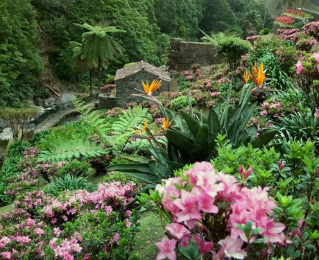 São Miguel begeistert mit seiner farbenprächtigen Vegetation Das Foto zeigt einen mit üppiger Vegetation bewachsenen Talkessel, im Hintergrund steht eine Wassermühle.