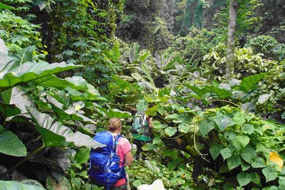 Wanderung im Dschungel bei Terreiro Velho auf São Tomé und Príncipe Zwei Wanderer mit Rucksäcken im dichten Dschungel