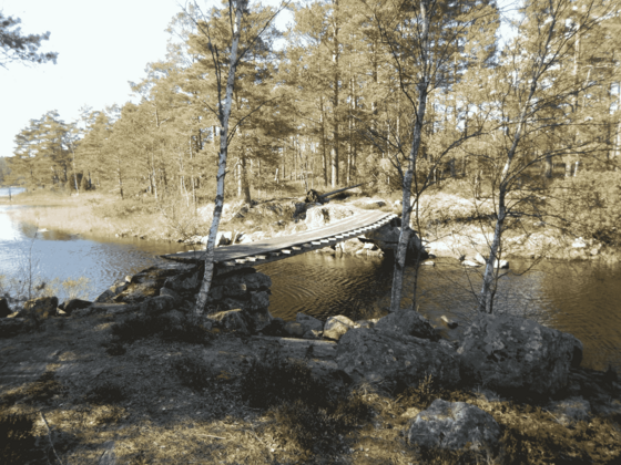 Durch die Bildmitte von links nach rechts zieht sich ein Gewässer, über das eine Holzbrücke führt. Jenseits des Ufers erstreckt sich ein lichter Wald.