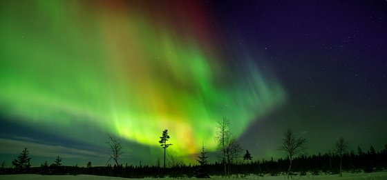 Polarlichter Polarlichter in Schwedisch Lappland