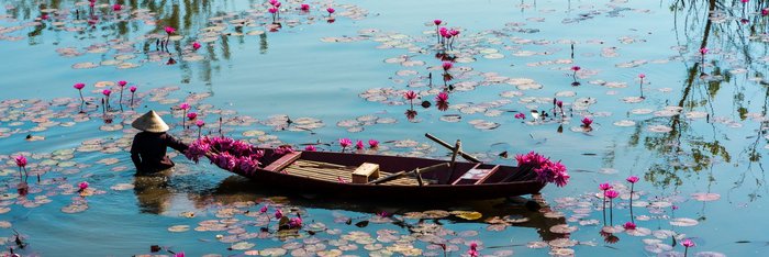 Eine Person mit einem kegelförmigen Hut steht im Wasser und bereitet ein kleines Boot vor, das mit rosa Seerosenblüten gefüllt ist. Das Wasser ist mit Seerosenblättern und weiteren rosa Seerosenblüten übersät.