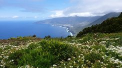 Blick von einer Anhöhe auf das Golftal und das Meer