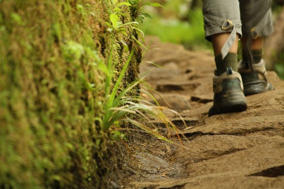 Füße in robusten Wanderschuhen laufen auf einem moosigen Steinpfad vom Betrachter weg.