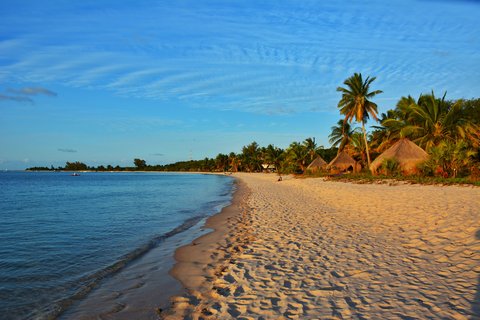 Meer und Sandstrand mit Palmen