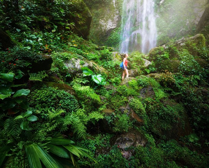 Wanderin steht mitten im Regenwald vor einem Wasserfall