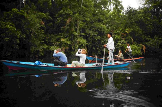 Touristen in kleinen Kanus beobachten und fotografieren die Natur