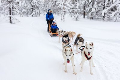 Ein Huskygespann zieht einen Schlitten durch eine verschneite Landschaft.