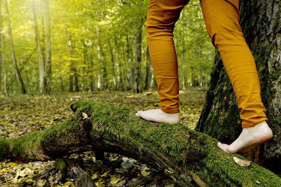 Barfuß im Wald Eine Frau in gelben Hosen läuft Barfuß über einen Baumstamm im Wald