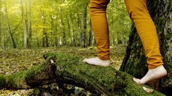 Eine Frau in gelben Hosen läuft Barfuß über einen Baumstamm im Wald