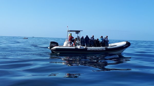 Ein Schlauchboot auf dem Atlantik auf der Suche nach Walen