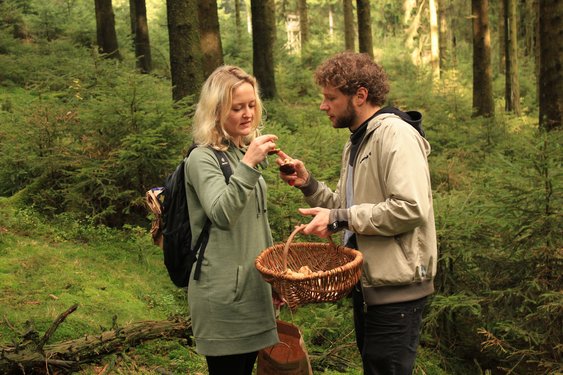 Zwei Pilzsucher Ein Mann erläutert einer Frau einen im Wald gesammelten Pilz.