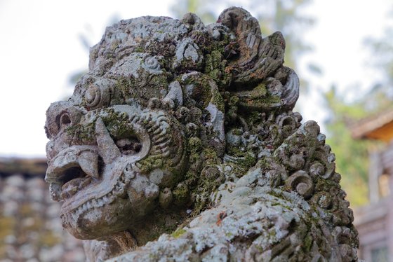Steinskulptur auf Bali in Indonesien Portrait ein Drachen Steinstatue