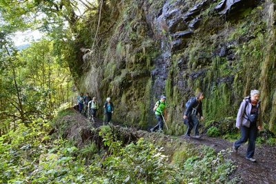 Wandergruppe auf einem schmalen Trampelpfad im Wald