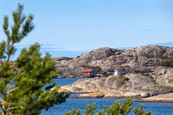 Typisch schwedische Schäre Durch die Äste eines Nadelbaums links im Vordergrund blickt man über das Meer auf eine Schäre mit zwei kleinen roten Häuschen.