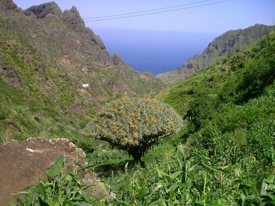 Die Landschaft von Sao Nicolau Die grüne Landschaft von Sao Nicolau mit dem Meer hinter den Bergen