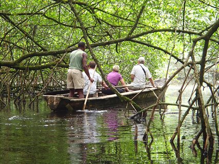 Touristen sitzen mit einem einheimischen Guide im Holzboot und betrachten die Mangroven