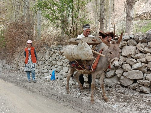 Packesel in Tadschikistan Ein schwer bepackter Esel läuft entlang einer Natursteinmauer. Hinter ihm steht eine Frau in einer roten Jacke.
