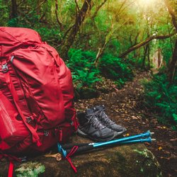 Ein roter Wanderrucksack, Wanderstöcke und Wanderschuhe stehen im Wald