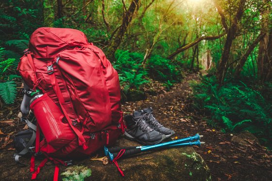 Wanderequipment im Wald Ein roter Wanderrucksack, Wanderstöcke und Wanderschuhe stehen im Wald