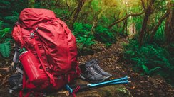 Ein roter Wanderrucksack, Wanderstöcke und Wanderschuhe stehen im Wald