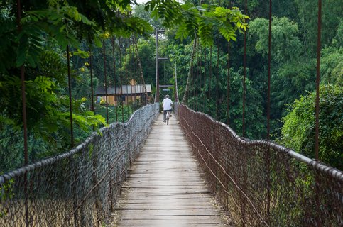 ein Mann fährt mit dem Fahrrad im Wald über eine Hängebrücke