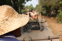 Reisegäste fahren auf der Pritsche eines Ochsenkarrens in Vietnam mit.