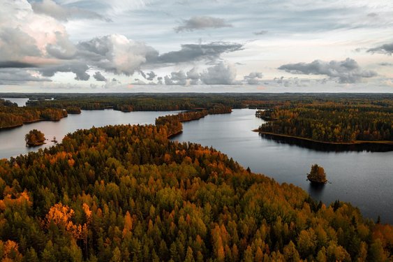 Luftbild zweier Seen in einem dichten herbstlichen Wald