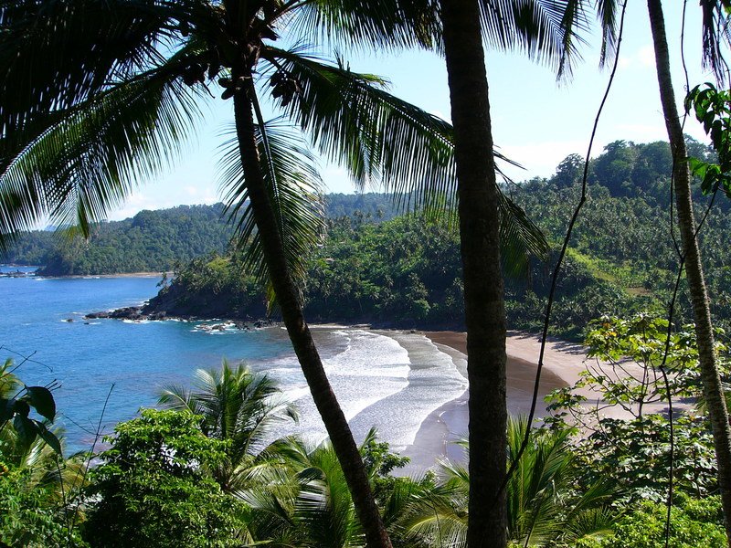 Blick durch zwei Palmen auf das Meer in  São Tomé
