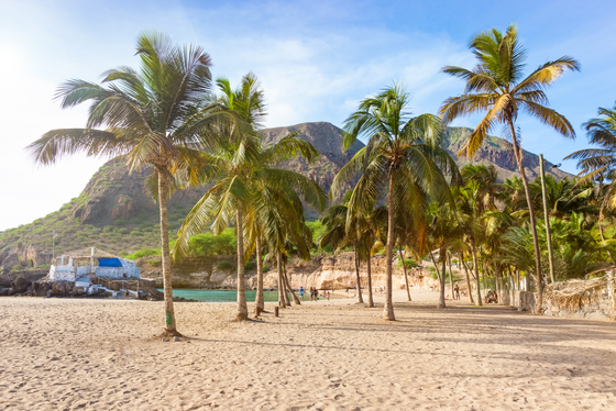 Auf einem hellen Sandstrand stehen einige Palmen. Im Hintergrund erhebt sich ein Berg.