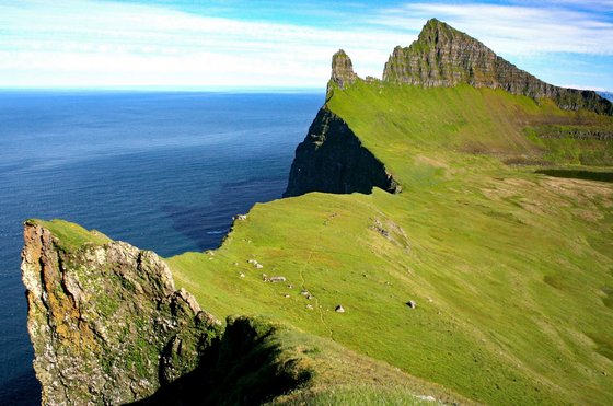 Im Naturschutzgebiet Hornstrandir Aus dem blauen Meer links erhebt sich eine Steilklippe, die nach rechts abfällt und grün bewachsen ist.