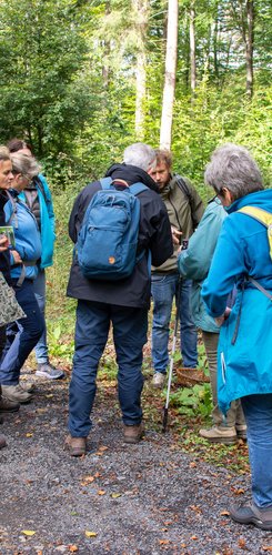Eine Gruppe von Wanderern bespricht eine Pilzart im Westerwald.