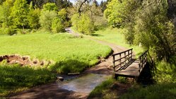 Trampelpfad durch die Natur in der Eifel in Deutschland.