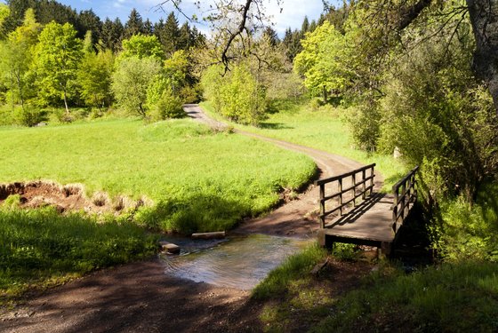 Wandern auf dem Eifelsteig in Deutschland Trampelpfad durch die Natur in der Eifel in Deutschland.