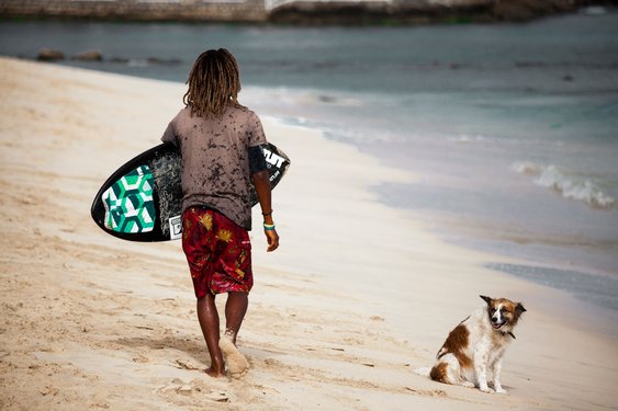 Ein Surfer läuft am Strand entlang mit dem Surfbrett unter dem Arm. Daneben sitzt ein Hund.
