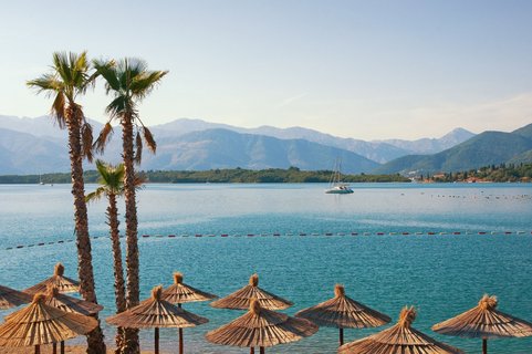 Sonnenschirme, Palmen und der Ausblick aufs Meer an der Adriaküste in Montenegro.