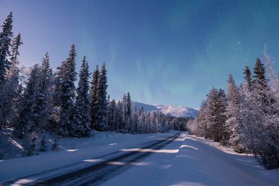 Eine verschneite Straße führt durch einen Nadelwald