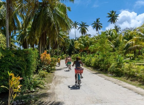 In Afrika auf den Seychellen mit dem Fahrrad auf Erkundungstour Fahrradfahrer fahren auf dem Radweg durch die Natur der Seychellen