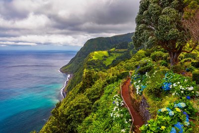 Eine von vielfarbiger Vegetation bewachsene Klippe fällt steil ins Meer ab.