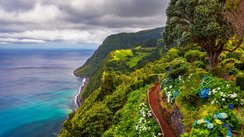 Eine von vielfarbiger Vegetation bewachsene Klippe fällt steil ins Meer ab.