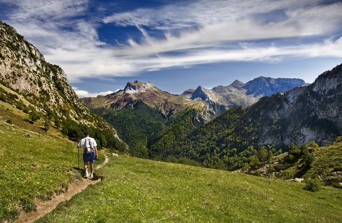 Mann mit Walking Stöcken wandert auf einer Wiese Richtung Berge