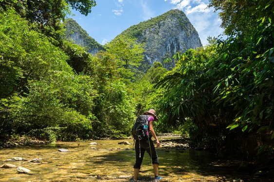 Eine Frau wandern durch den Dschungel von Borneo