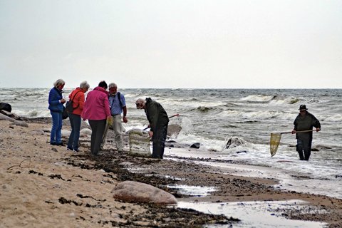 Eine Reisegruppe ist am Strand der aufgewühlten Ostseeküste mit zwei Bernsteinfängern unterwegs 