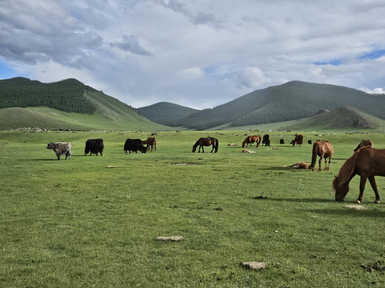 Atemberaubende, menschenleere Landschaften in der Mongolei