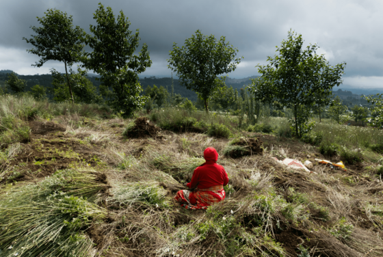 Eine Frau in roter Gewandung sitzt in einer grünen Landschaft. Im Hintergrund stehen von rechts nach links vier Bäume, darüber grauer Himmel.