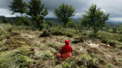 Eine Frau in roter Gewandung sitzt in einer grünen Landschaft. Im Hintergrund stehen von rechts nach links vier Bäume, darüber grauer Himmel.